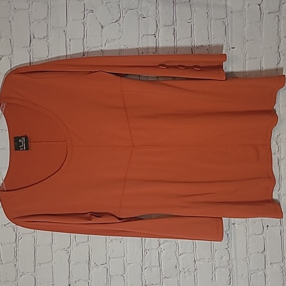 Rust Burnt Orange Long Sleeve Scoop Neck Tunic Top Size L/XL - Picture 1 of 7